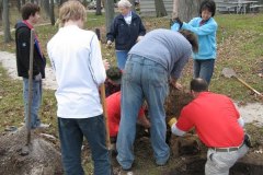 2012-11-10WildwoodParkDistrictServiceProject047