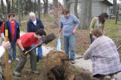 2012-11-10WildwoodParkDistrictServiceProject053