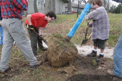 2012-11-10WildwoodParkDistrictServiceProject056