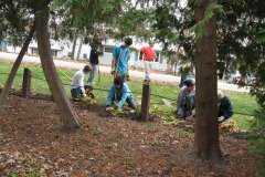 2012-11-10WildwoodParkDistrictServiceProject100