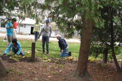2012-11-10WildwoodParkDistrictServiceProject101