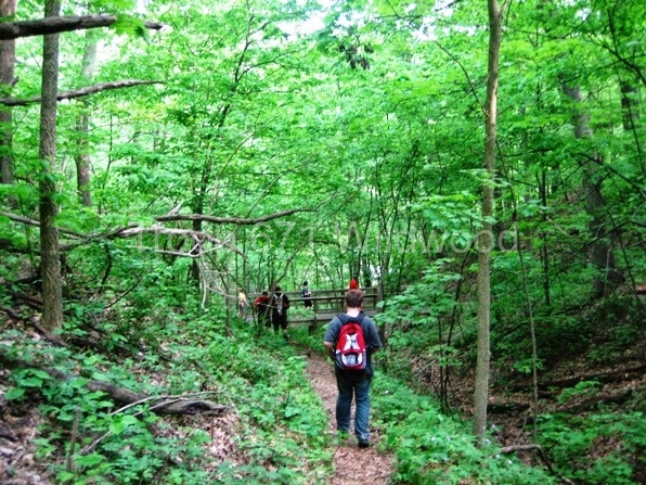 2013May_MS_Palisades2811