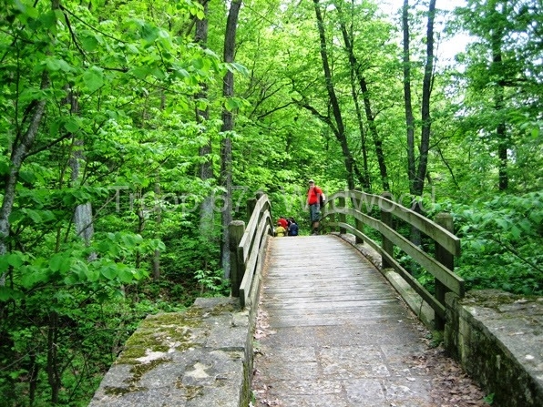 2013May_MS_Palisades2812