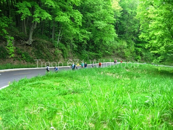 2013May_MS_Palisades284