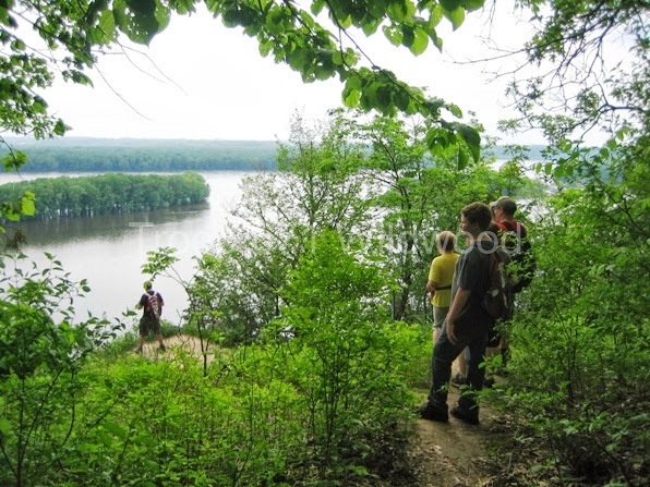 2013May_MS_Palisades286