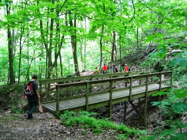 2013May_MS_Palisades289