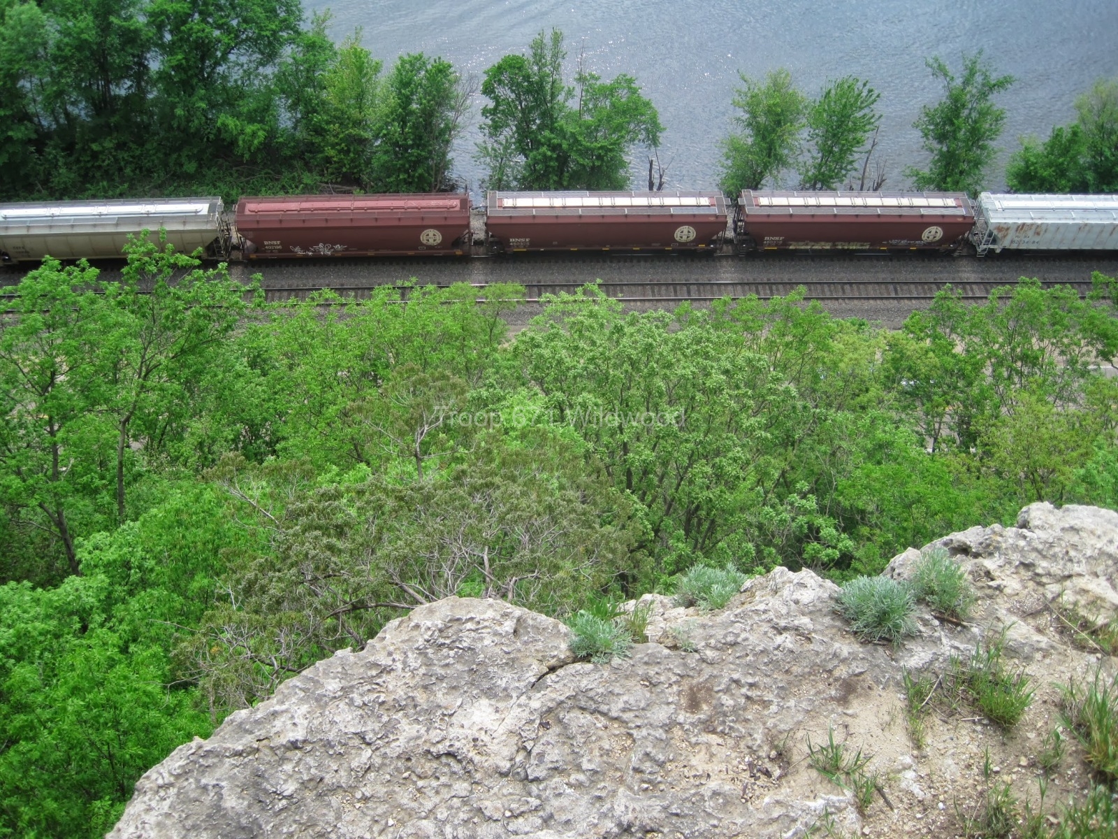MississippiPalisades_EdThomasIMG_8567