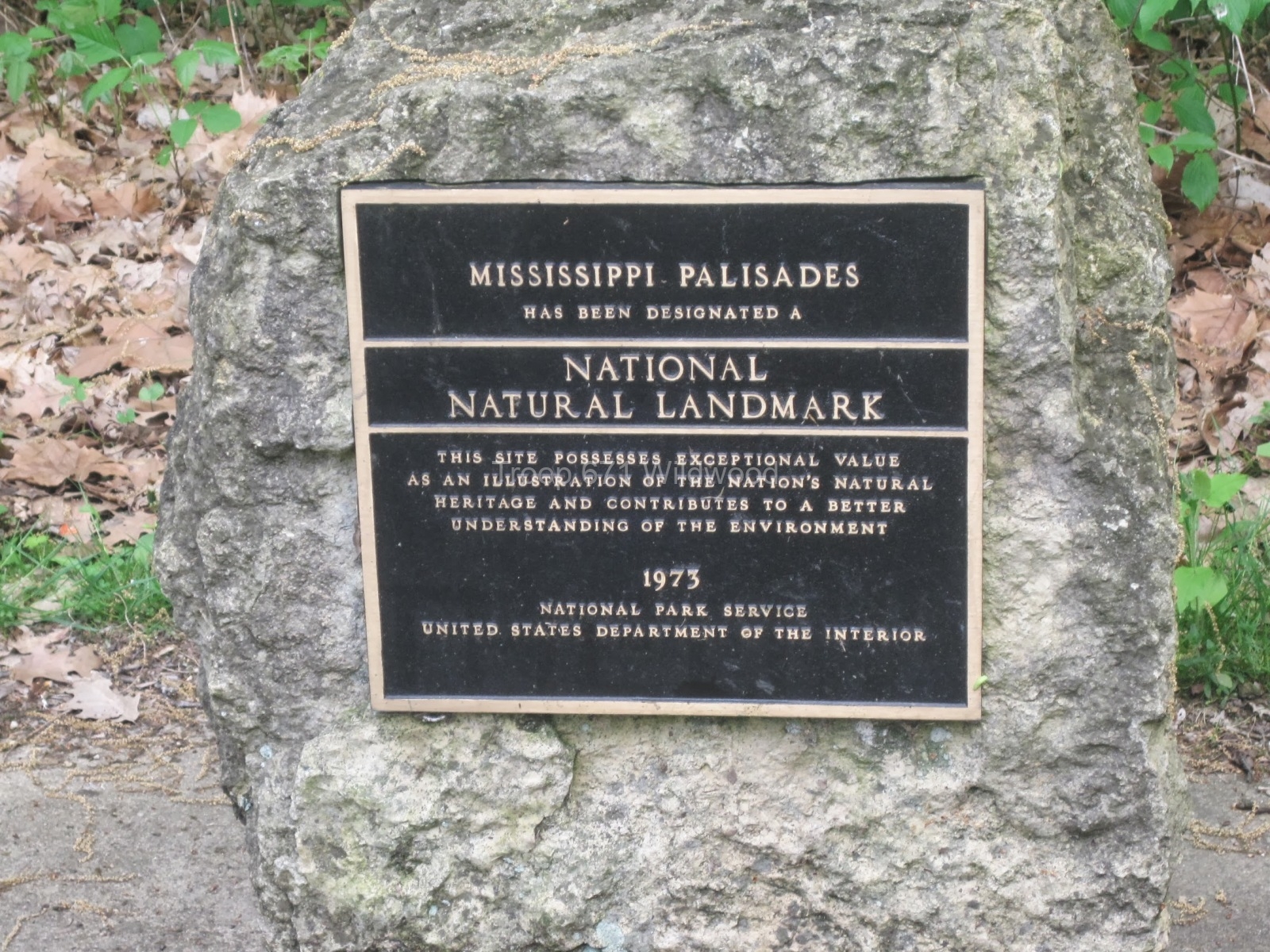 MississippiPalisades_EdThomasIMG_8573
