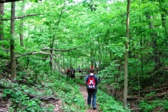 2013May_MS_Palisades2811