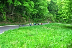2013May_MS_Palisades284