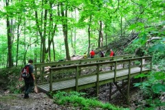 2013May_MS_Palisades289