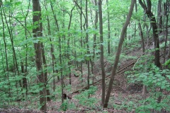 MississippiPalisades_EdThomasIMG_8549