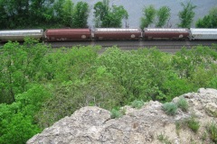 MississippiPalisades_EdThomasIMG_8567