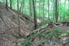 MississippiPalisades_EdThomasIMG_8569