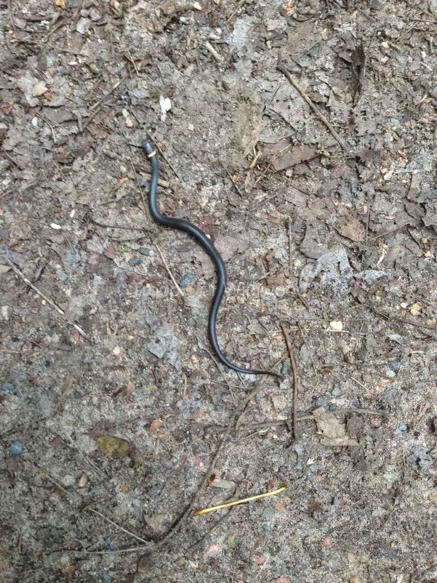 2013-06-30T14-35-09_31