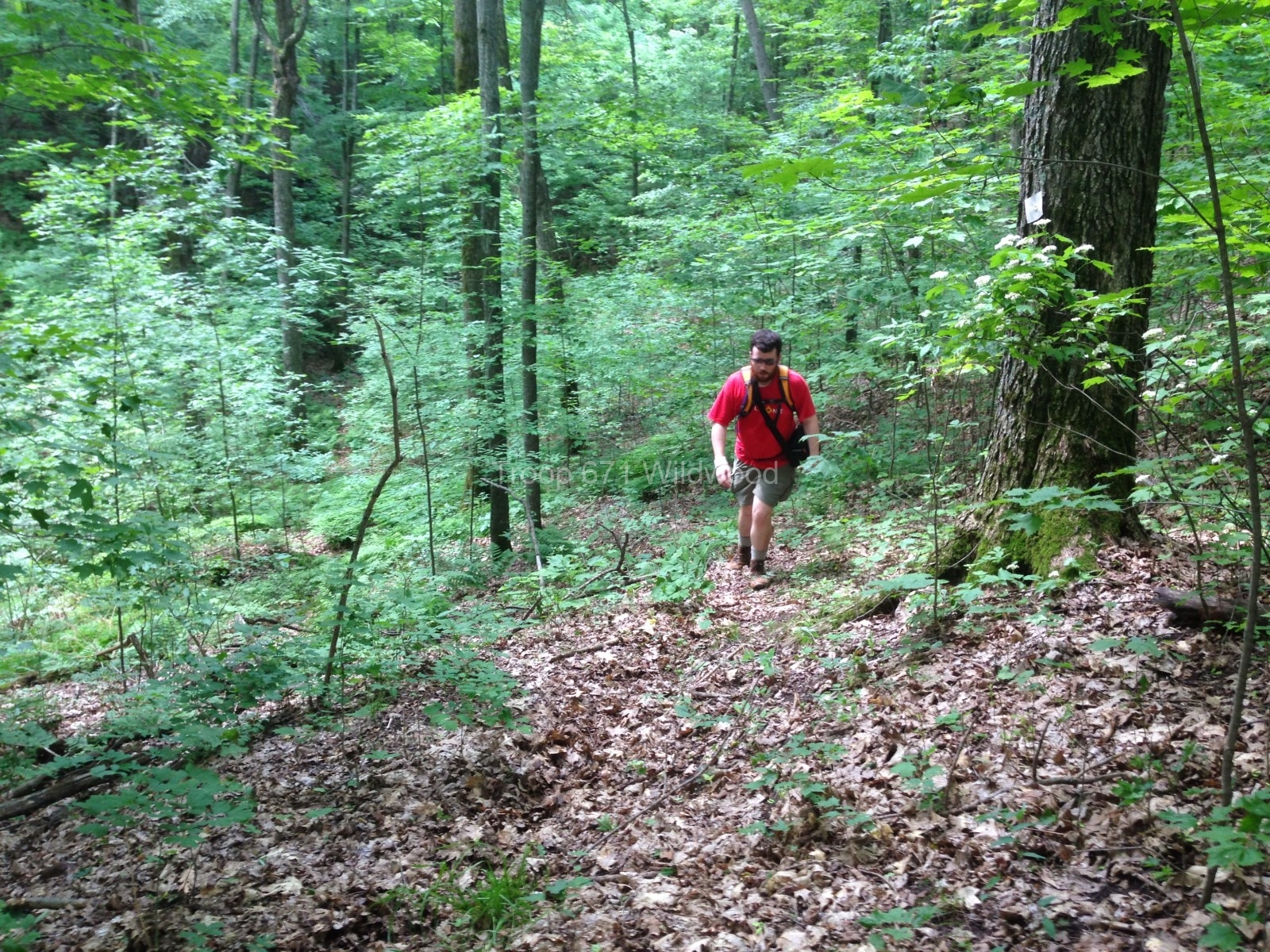 2013-06-30T14-35-09_38