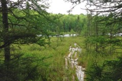 2013-06-30T14-35-09_53
