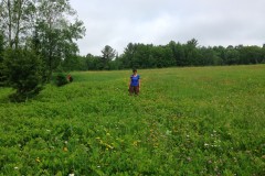 2013-06-30T14-35-09_9