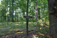 212013-07-23T08-36-53_25