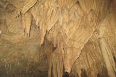 21IMG_9223