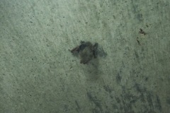 21IMG_9225