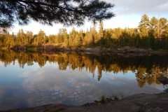 Ima Lake BWCA campsite