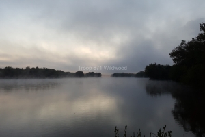 2016-09.WI.River