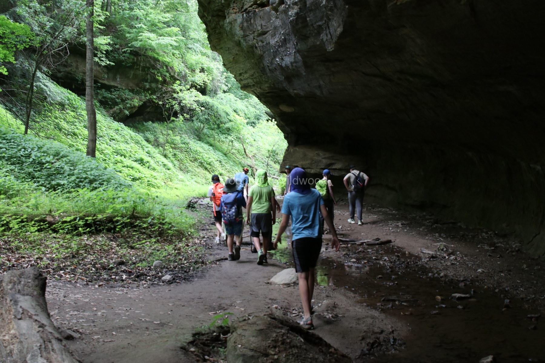 IMG_2072