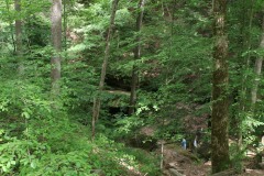 IMG_2059