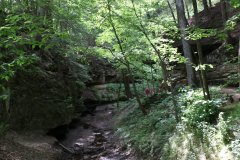 IMG_2082