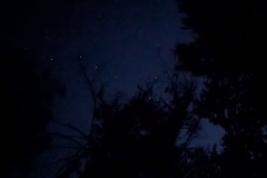 PXL_20240627_032609795.NIGHT2_