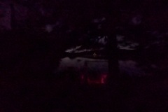 PXL_20240627_033204599.NIGHT_