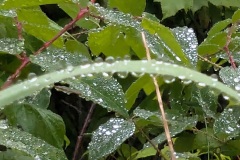 PXL_20240629_004326754