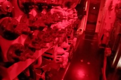 20241108_220035