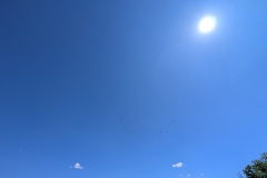 PXL_20250526_155119555