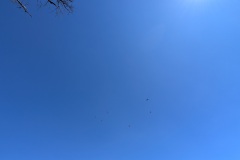 PXL_20250526_155125399