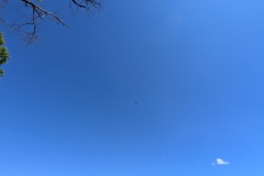 PXL_20250526_155129375