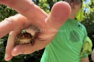 2025-06 Ma-Ka-Ja-Wan Scout Reservation