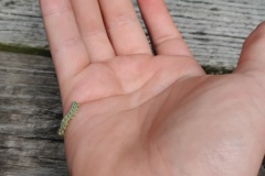 IMG_20250623_103930317