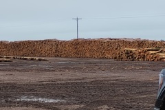 IMG_20250626_101734904