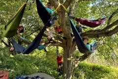 Hammock tree