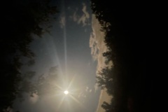 IMG_3320