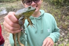 Frog!