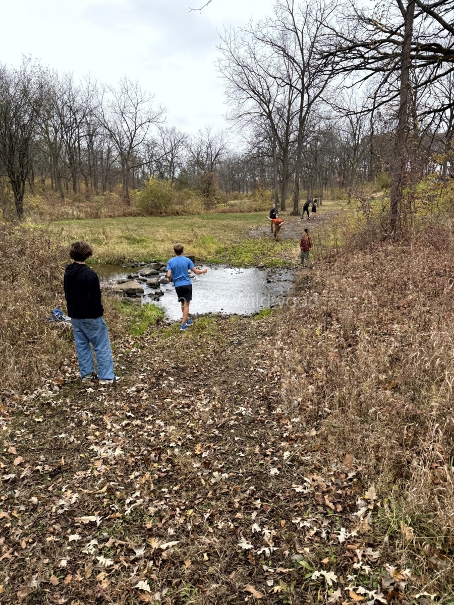 IMG_2263