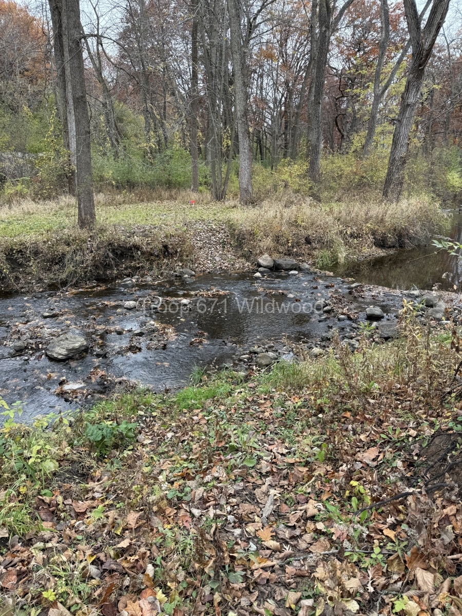 IMG_8366
