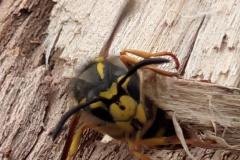 PXL_20251108_170611292