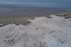 20260117_080605