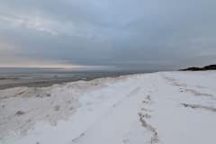PXL_20260117_135619086