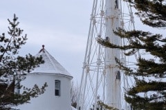 PXL_20260117_174132084