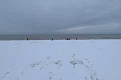 PXL_20260117_175037320.MP_